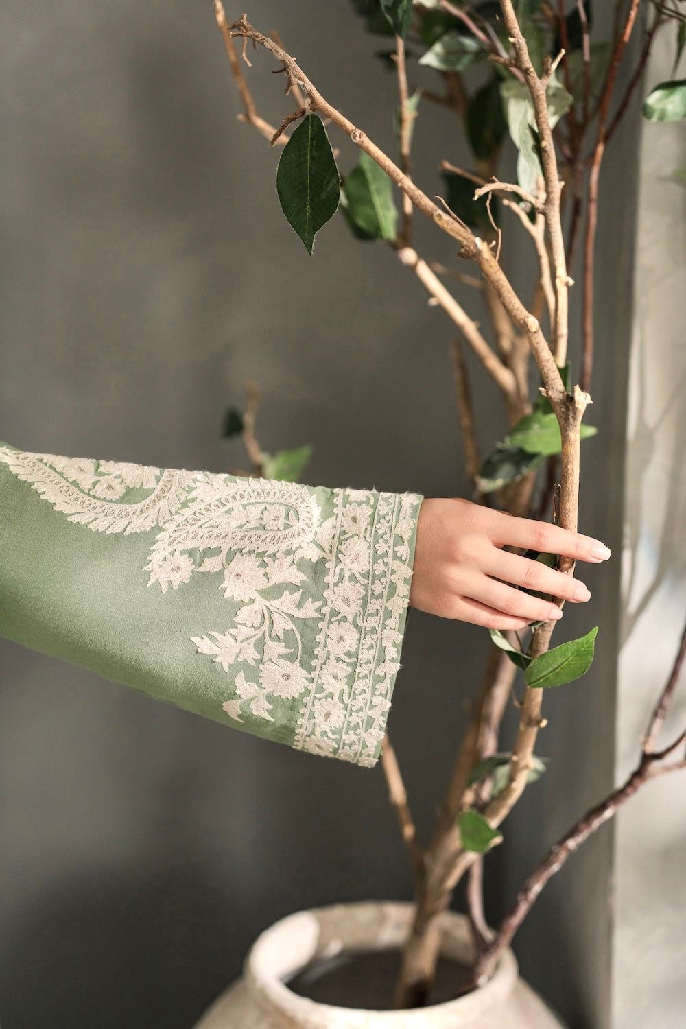 Person holding a plant with a patterned sleeve against a neutral background
